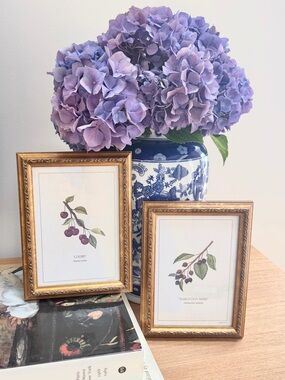 Vintage Botanical Prints in Gold Wood Frames